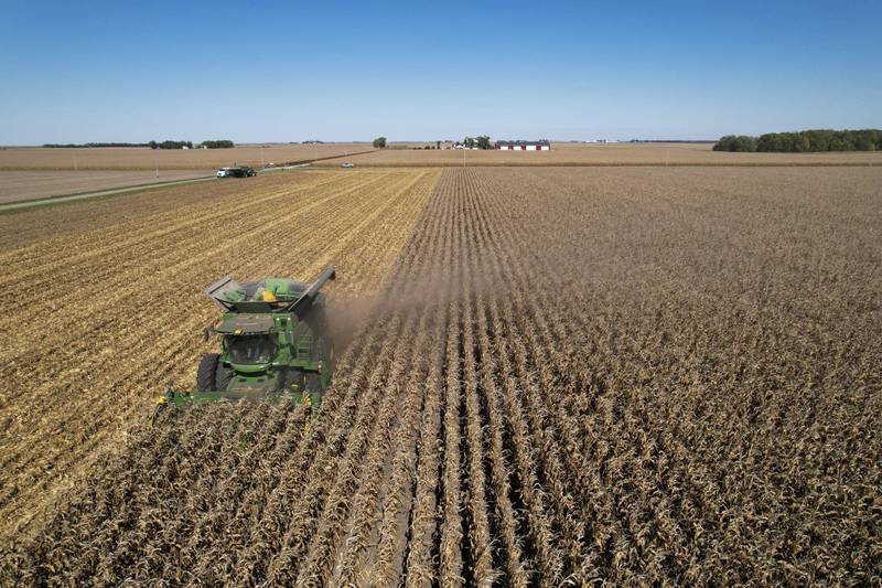 A combine harvests corn on Oct. 10, 2023, at a farm near Allerton, Illinois.