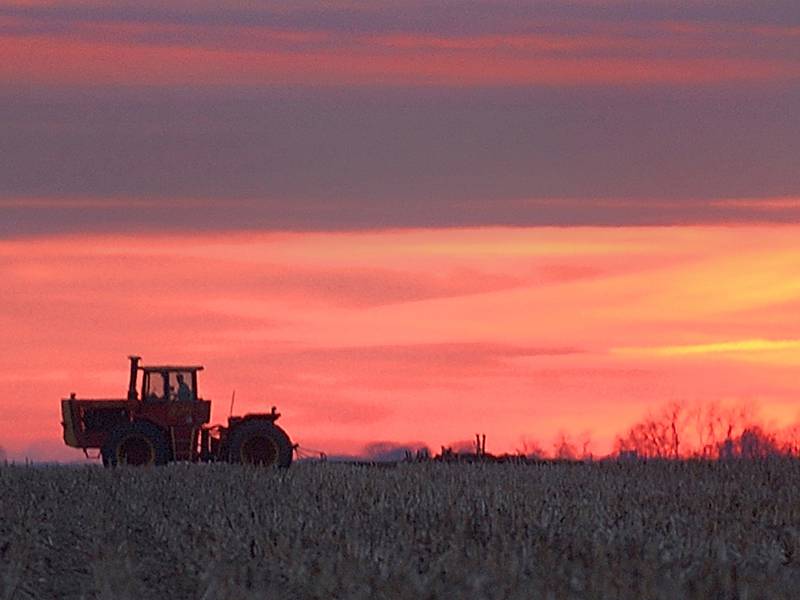 Less traditional cash rent leases in 2026: survey