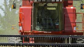 Illinois wheat production falls