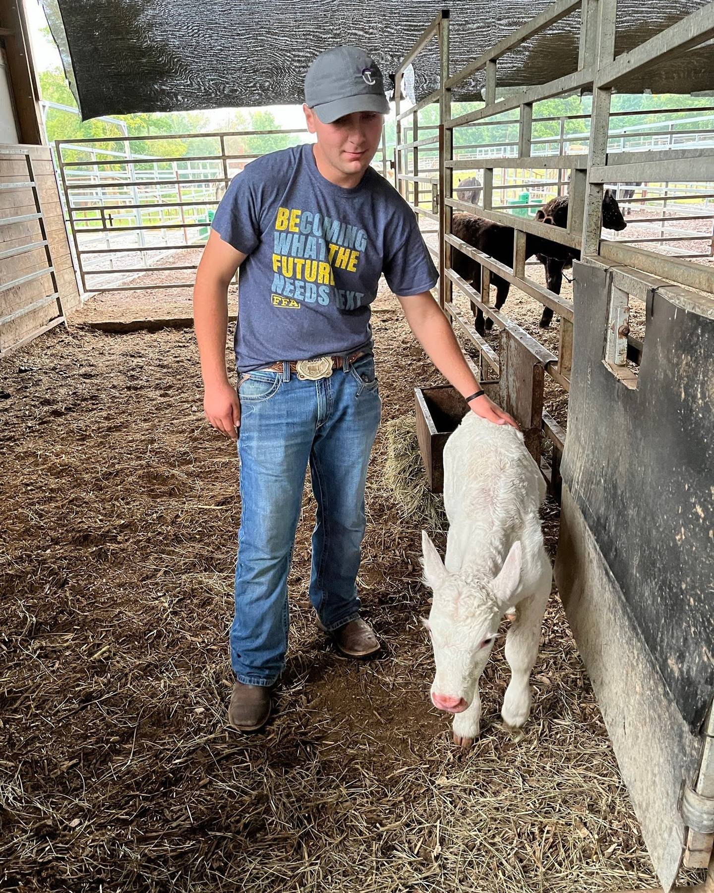 Reed Naughton checks on a calf for his FFA project where he is employed at two different farms. He also assists with auctions for Naughton Auction Service.