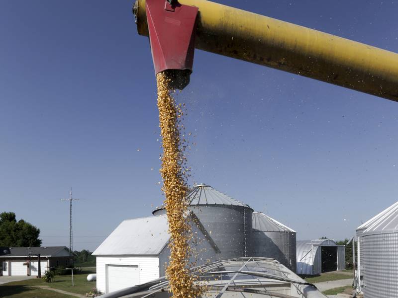 Bearish report highlights need for biofuel certainty