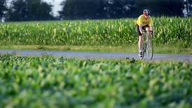 Lower production: USDA updates crop balance sheets