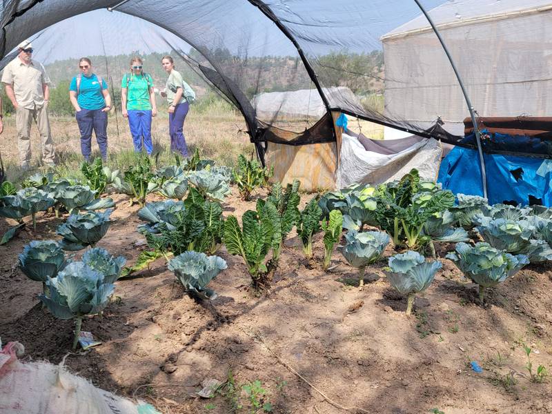 Huntington University students visit Guatemala to implement sustainable agricultural practices.