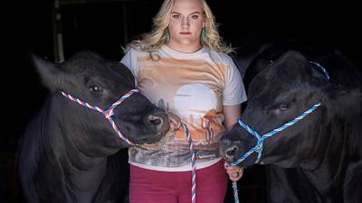 Take a glimpse inside ag: Favorite Farm Photo Contest winner named