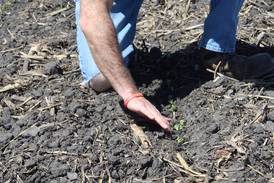From the Fields: Crops need rain after planting