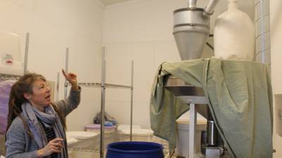 Heirloom, ancient grains grown and marketed from Hazzard Free Farm