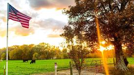 The Zipline: Good agricultural policy, good for the country