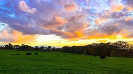 The Zipline: Celebrating National Ag Day
