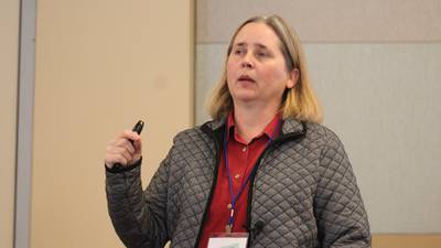 Non-native ticks impact cattle herds   