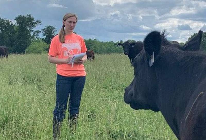 Lizzie Schafer has completed five research projects with her family’s Angus herd. The Taylorville FFA member is one of four finalists for the American Star in Agriscience award that will be announced during the 97th National FFA Convention & Expo.