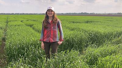U of I wheat, barley field day set for May 21 at Riggs Beer Company