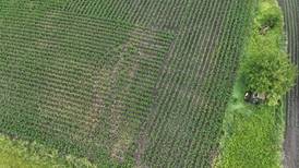 Drone valuable field scouting tool