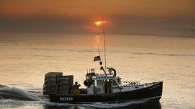 Fishers celebrate Trump’s seafood order while conservation groups fear overfishing