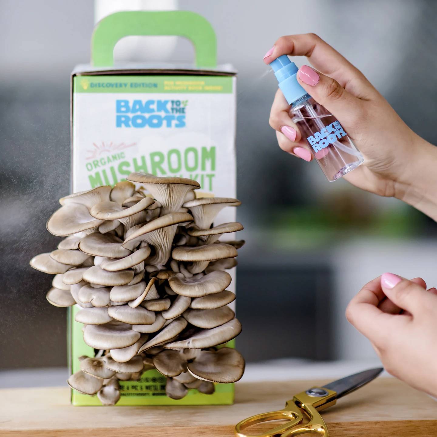 This image provided by Back to the Roots shows a Back to the Roots organic mushroom growing kit bearing a full crop