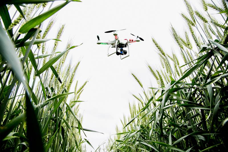 Drone technology can empower farmers with faster, more precise ways to manage their fields.