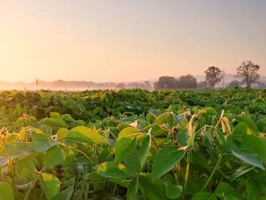 New sulfur trials find answers, questions