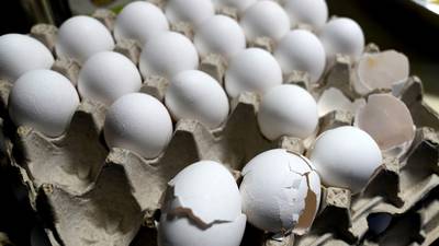 U.S. egg prices increase to record high
