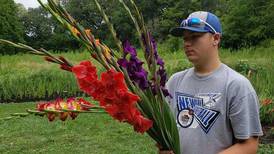 Growing flowers earns Newark FFA member national finalist award