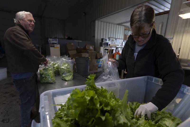 Janet Vandenberg (right) an employee of Bolton Farms, speaks with owner John Bolton as they prepare spring mix bags at Bolton Farms in Hilton, New York.