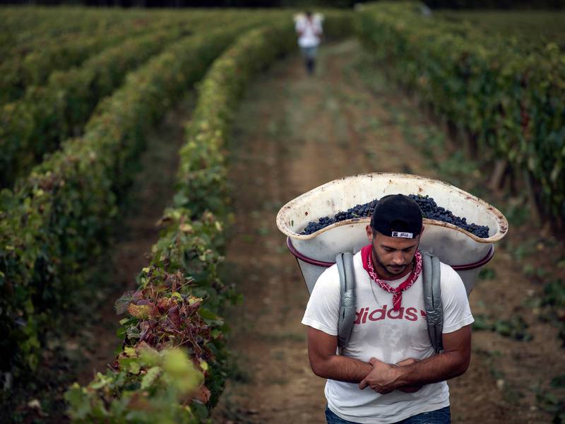 The EU offers new protections for farmers as it seeks to build support for Mercosur trade deal