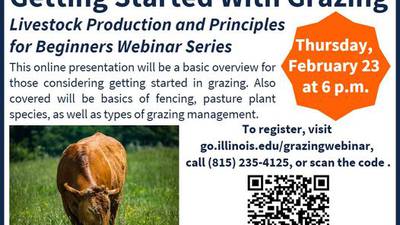 Getting started with grazing