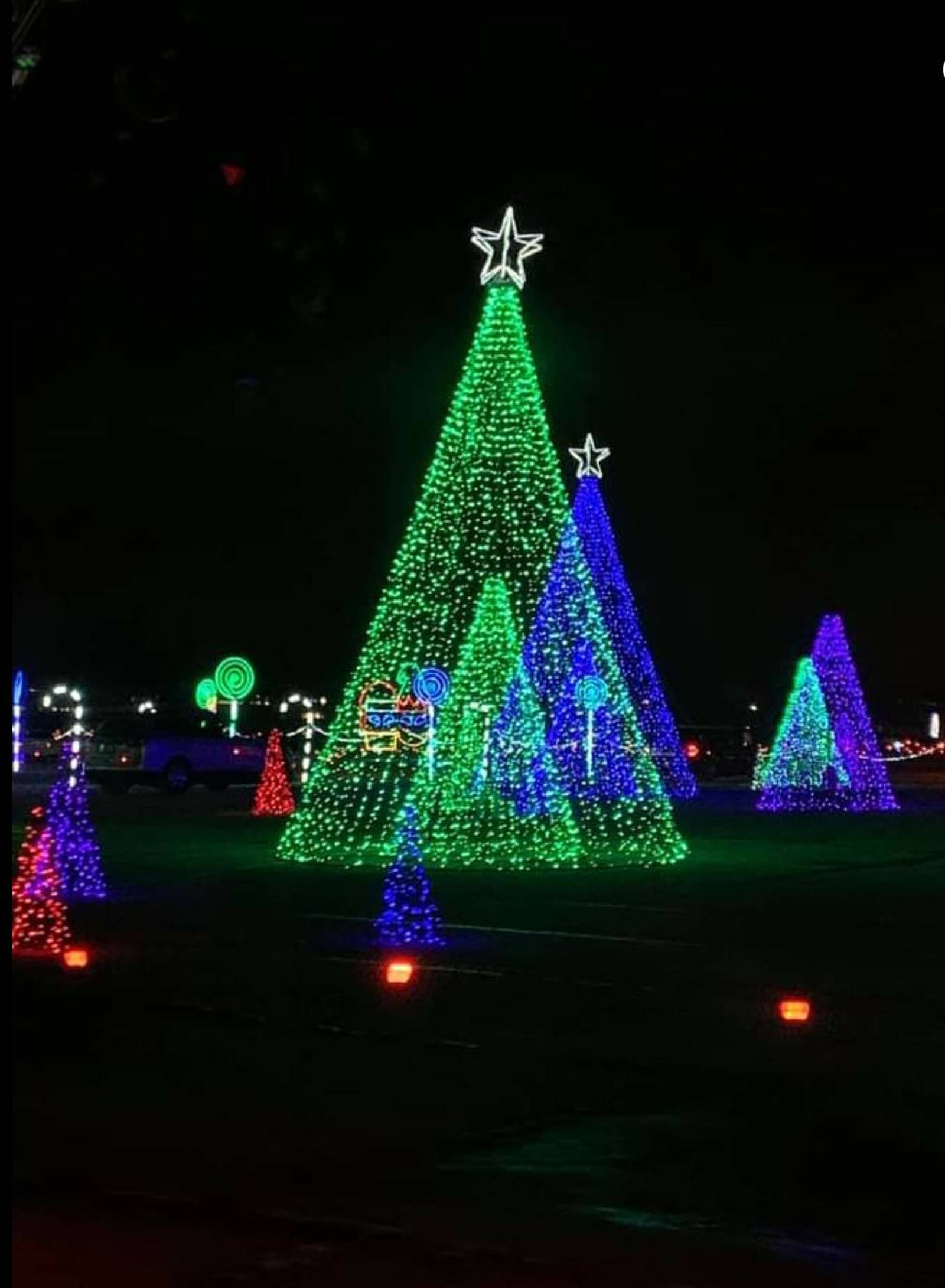 Start a new Christmas tradition Christmas lights shine at State