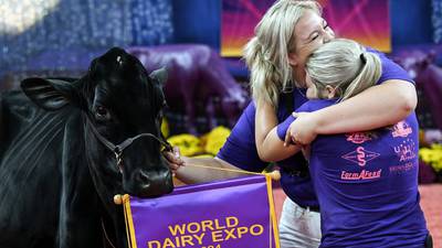Dairy Cattle Show entries now open