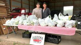 Sweet corn and more at Sikkema Farm