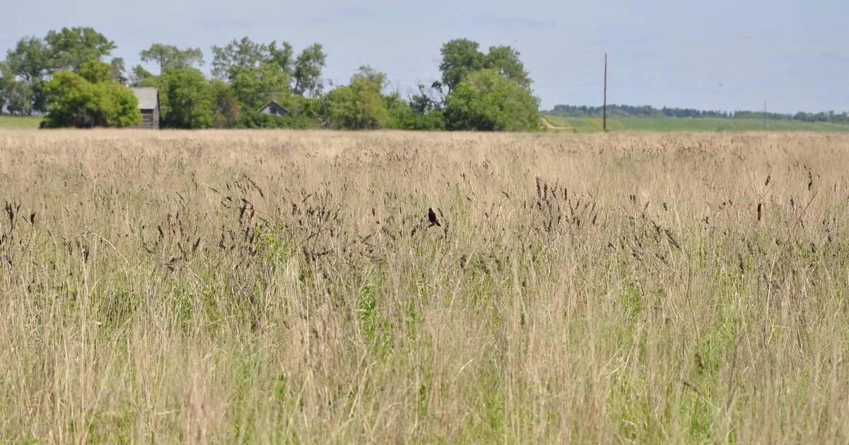 CRP acreage tops 1 million AgriNews