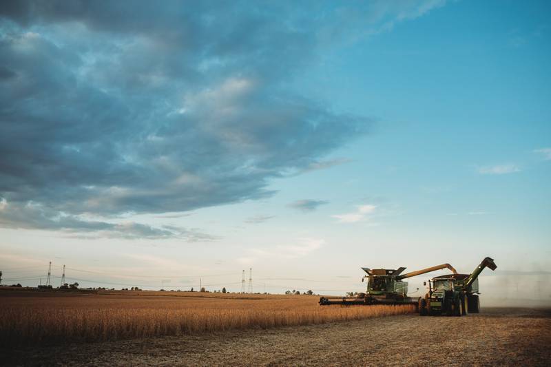 Six respected crop advisers and agronomists serving as ILSoyAdvisor Soy Envoys reviewed the 2024 growing season in a podcast.