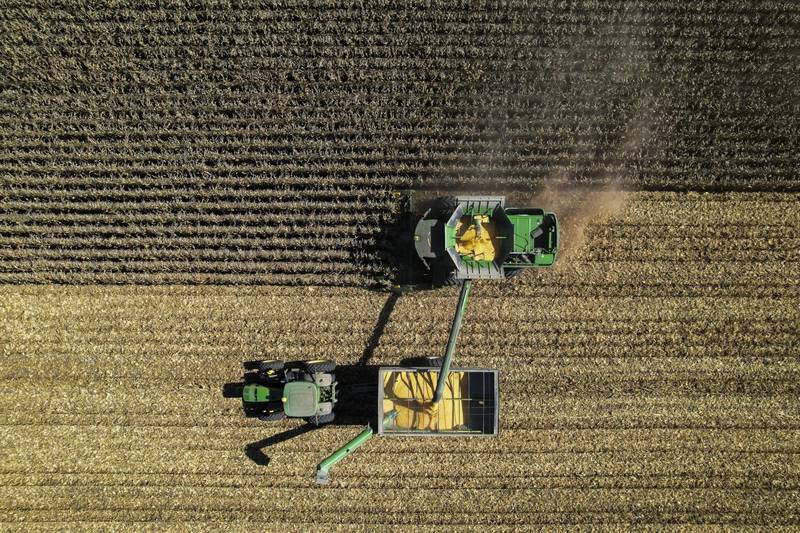 A combine harvests corn while unloading grain into a wagon at a farm near Allerton, Illinois.