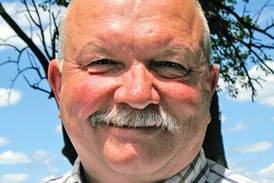 From the Barns: Grass greening up