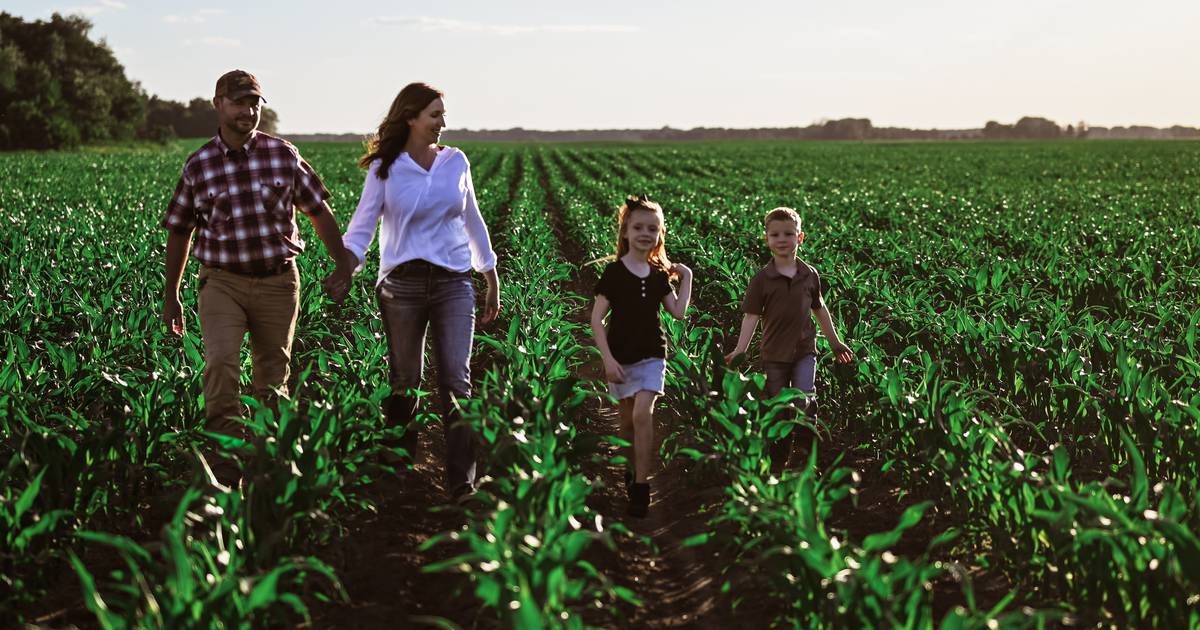 Career in ag real estate follows Air Force service – AgriNews