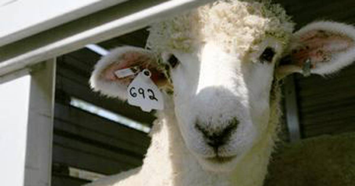 2023 Indiana county fair schedule AgriNews