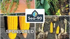 Save $70/acre with Fall Application of SEA-90 Ocean Minerals