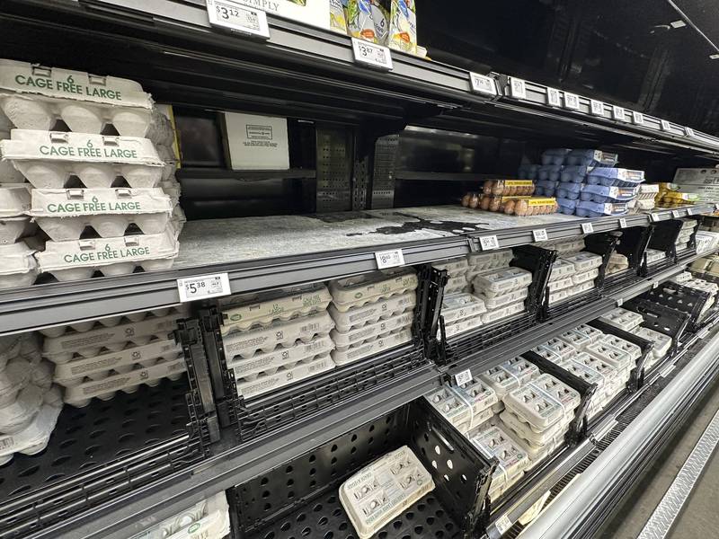 Cartons of eggs sit on a shelf in a Walmart store in Englewood, Colorado.