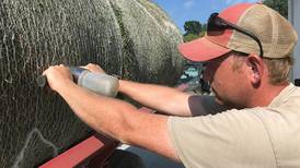 Hoosier Hay Contest winners announced