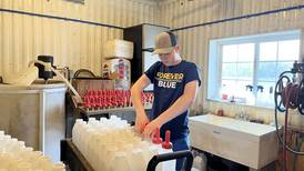 Calf research projects result in national FFA award
