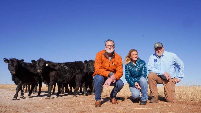 A Texas startup, EmGenisys Inc., was named runner-up in the national Ag Innovation Challenge, thanks to the company’s non-invasive analysis of embryo morphokinetic activity to improve pregnancy outcomes of assisted reproductive techniques in livestock.
