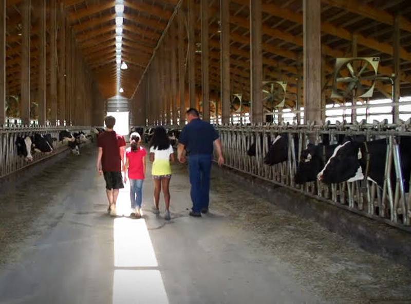 Illinois Milk Promotion Board is looking for dairy farmers to serve on its board of directors.