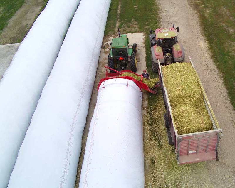 High-moisture corn silage, also called earlage, or less commonly snaplage, meets the substantial energy demands of cattle. Proper bagging enhances nutrient retention and overall animal health while cutting costs.