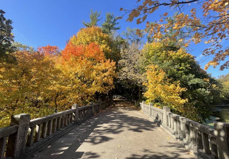 Fall colors pop are in full peak at Matthiessen State Park on Wednesday, Oct. 19, 2022 in Oglesby.