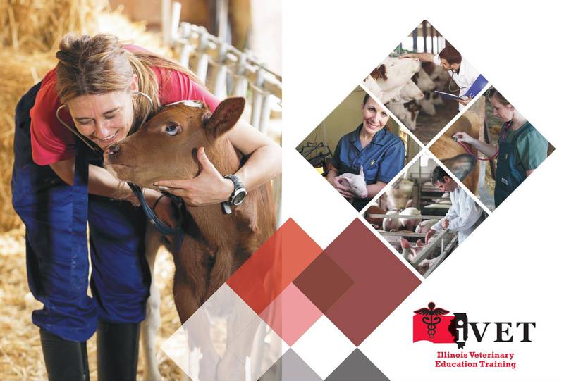 The Illinois Veterinary Education and Training loan program offers low-interest loans up to $40,000 to as many as three veterinary students each year. Loans are paid to recipients for a period of two to three years and are payable over five years after graduation.