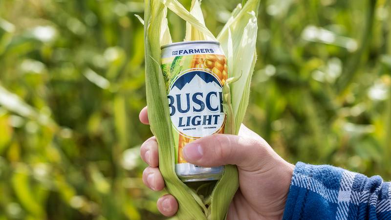 Busch Light corn cans are back in stores this spring.