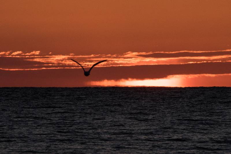 Studies show that one of the most important factors in resilience is having loving and supportive relationships within and outside the family.