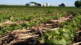 Remember these 10 soil health tips while tackling weed control this spring