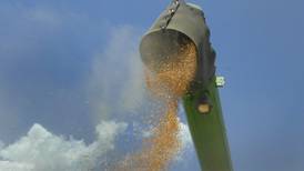 Macon County wheat yield tops 112 bushels per acre