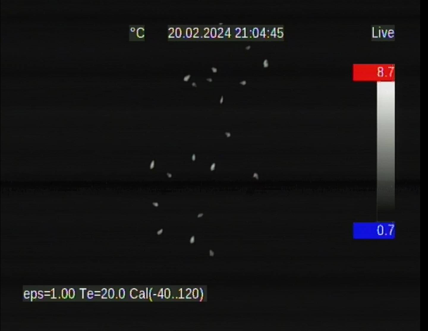 White-tailed deer populations captured using an infrared camera on a Purdue Aviation Sky Arrow aircraft. Each white dot represents a white-tailed deer.