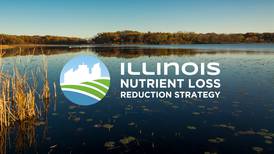 Report details Illinois’ nutrient loss efforts
