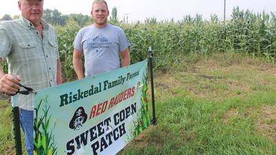 From the Fields: Summer rain has been ‘absolutely gorgeous’